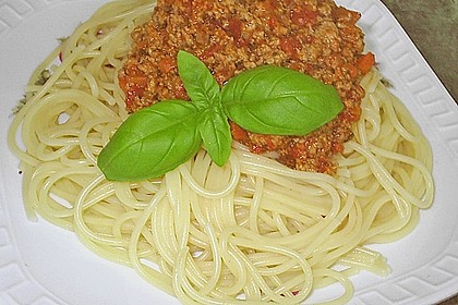 Bolognese 6