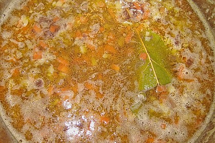 Bolognese 30