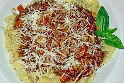 Bolognese 16