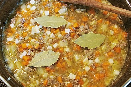 Bolognese 28