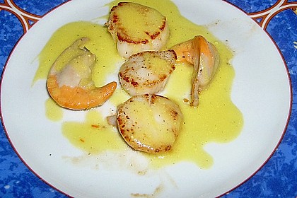 Jakobsmuscheln mit Safransauce 8