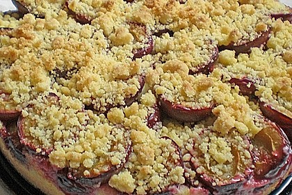 Zwetschgen-Streuselkuchen mit Pudding 76