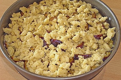 Zwetschgen-Streuselkuchen mit Pudding 115