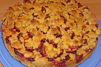 Zwetschgen-Streuselkuchen mit Pudding 56