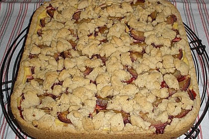 Zwetschgen-Streuselkuchen mit Pudding 77