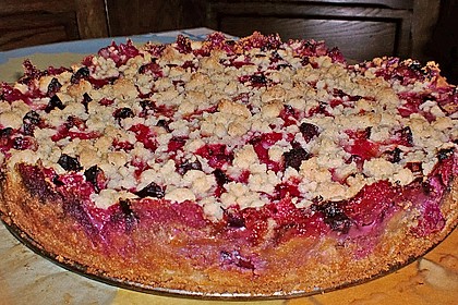 Zwetschgen-Streuselkuchen mit Pudding 32