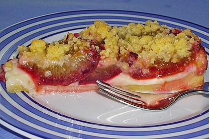 Zwetschgen-Streuselkuchen mit Pudding 12