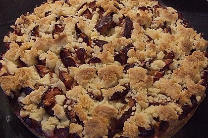 Zwetschgen-Streuselkuchen mit Pudding 118