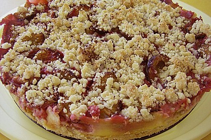 Zwetschgen-Streuselkuchen mit Pudding 24