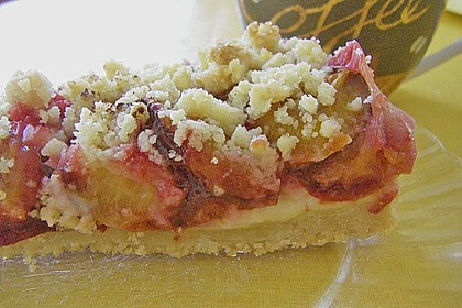 Zwetschgen-Streuselkuchen mit Pudding 91