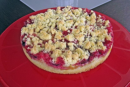 Zwetschgen-Streuselkuchen mit Pudding 31