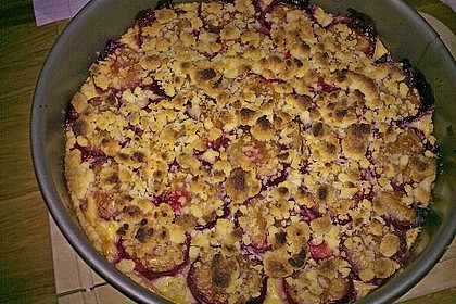 Zwetschgen-Streuselkuchen mit Pudding 122