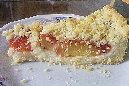 Zwetschgen-Streuselkuchen mit Pudding 58