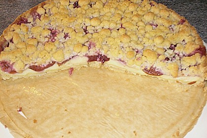 Zwetschgen-Streuselkuchen mit Pudding 102