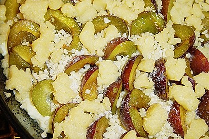 Zwetschgen-Streuselkuchen mit Pudding 106