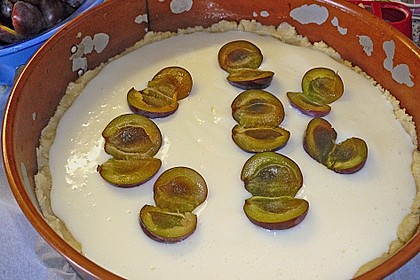 Zwetschgen-Streuselkuchen mit Pudding 119
