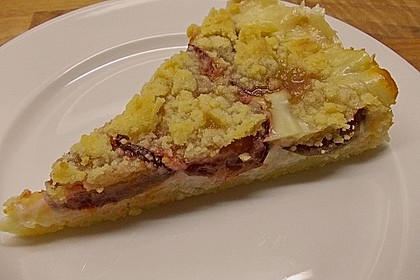 Zwetschgen-Streuselkuchen mit Pudding 28