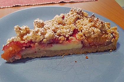 Zwetschgen-Streuselkuchen mit Pudding 20