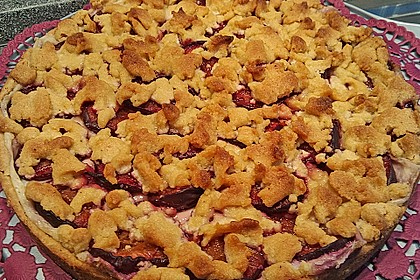 Zwetschgen-Streuselkuchen mit Pudding 83