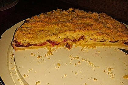 Zwetschgen-Streuselkuchen mit Pudding 101