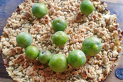 Zwetschgen-Streuselkuchen mit Pudding 120
