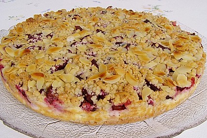 Zwetschgen-Streuselkuchen mit Pudding 8