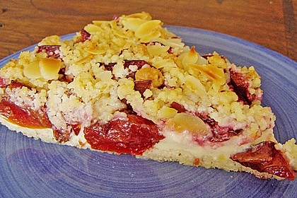 Zwetschgen-Streuselkuchen mit Pudding 45