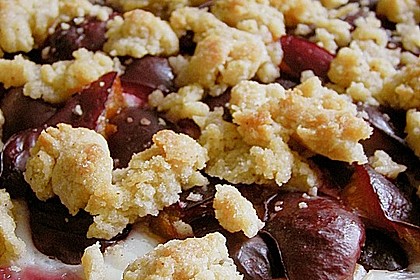Zwetschgen-Streuselkuchen mit Pudding 33