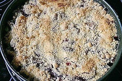 Zwetschgen-Streuselkuchen mit Pudding 88