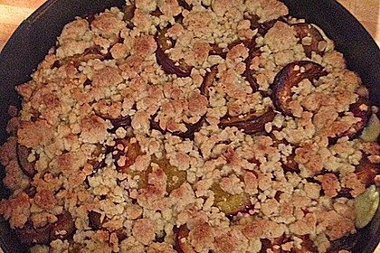 Zwetschgen-Streuselkuchen mit Pudding 94