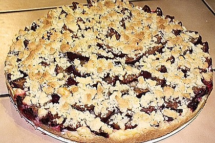 Zwetschgen-Streuselkuchen mit Pudding 105