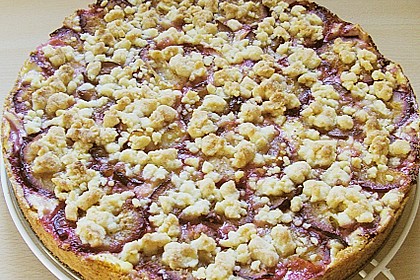 Zwetschgen-Streuselkuchen mit Pudding 46