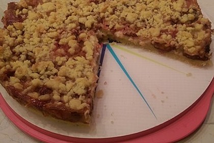 Zwetschgen-Streuselkuchen mit Pudding 18