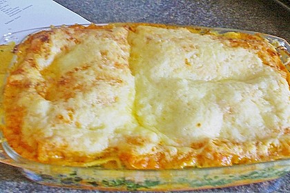 Lachs - Lasagne mit Spinat 27