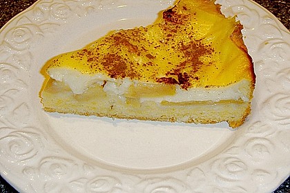 Apfelkuchen mit Pudding 14
