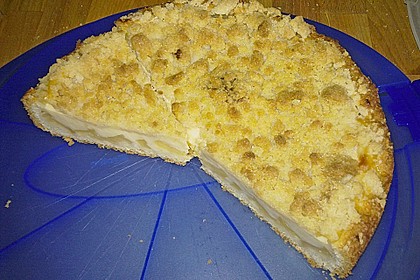 Apfelkuchen mit Pudding 8