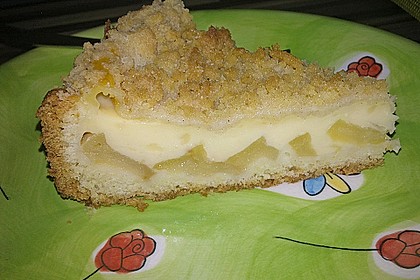 Apfelkuchen mit Pudding 5