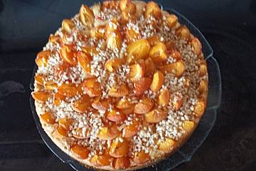 Aprikosenkuchen
