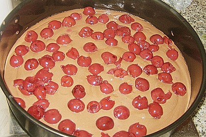 Schneller Blechkuchen Schoko - Kirsch 15