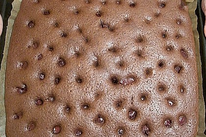 Schneller Blechkuchen Schoko - Kirsch 23