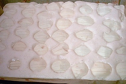 Apfelkuchen 4