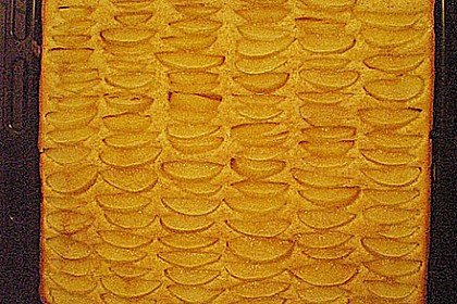 Apfelkuchen 3
