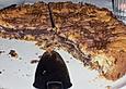 Dreierlei - Schoki - Zupfkuchen