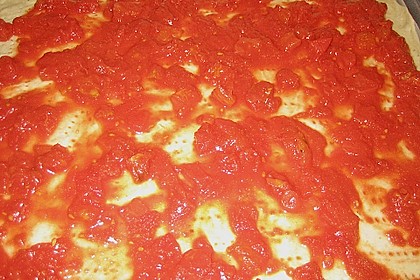 Pizzateig 13