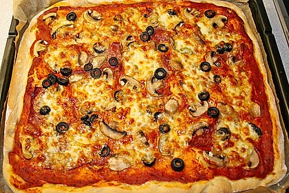 Pizzateig 8