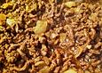 Kartoffel - Hackfleisch - Gratin