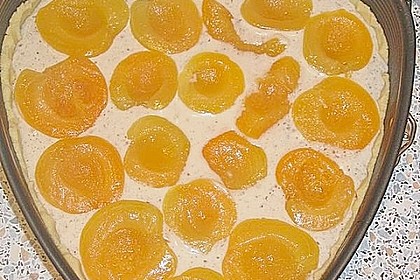 Aprikosenkuchen mit Mandelguss 16