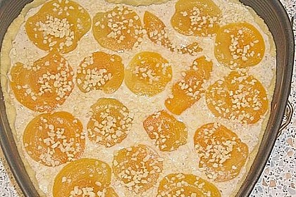 Aprikosenkuchen mit Mandelguss 18