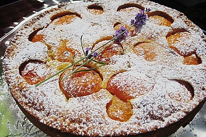 Aprikosenkuchen mit Mandelguss 1
