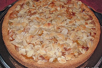 Aprikosenkuchen mit Mandelguss 3